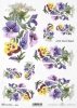 bratek, bratki, kwiat, ogród, łąka, wiosna, autorka grafiki Maria Kopeć, R910, pansy, pansies, flower, garden, meadow, spring, Stiefmütterchen, Blume, Garten, Wiese, Frühling, pensamiento, flor, jardín, prado, primavera